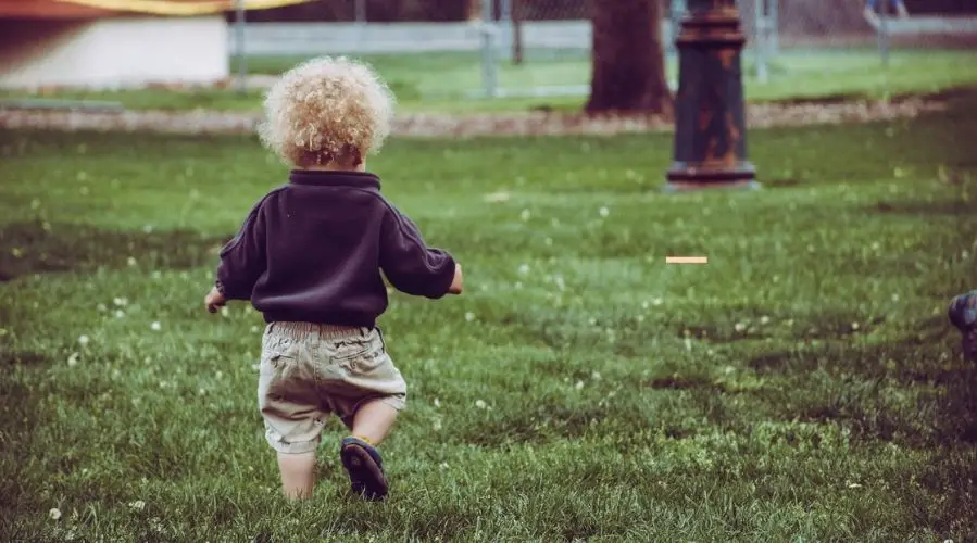 Best Walking Shoes for Babies and Toddlers (2023 Reviews) WeTheParents