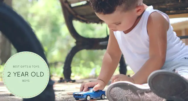 2 Year Old Boy Plays with Toys