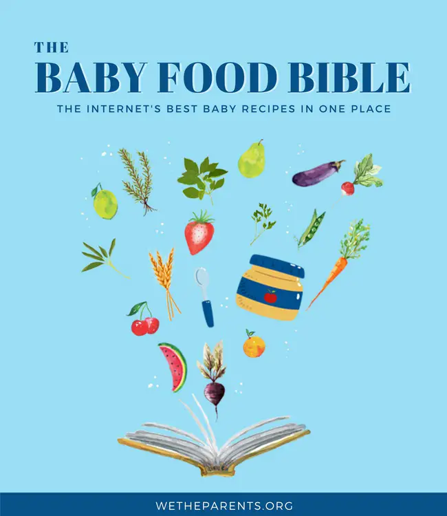 The Baby Food Bible