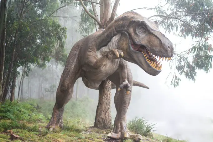 Large dinosaur attraction