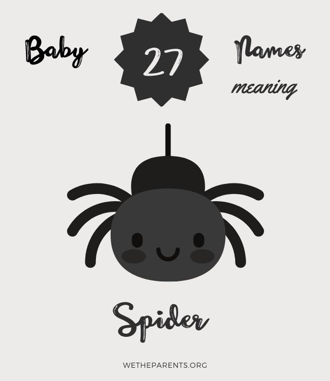 cartoon drawing of a black smiling spider