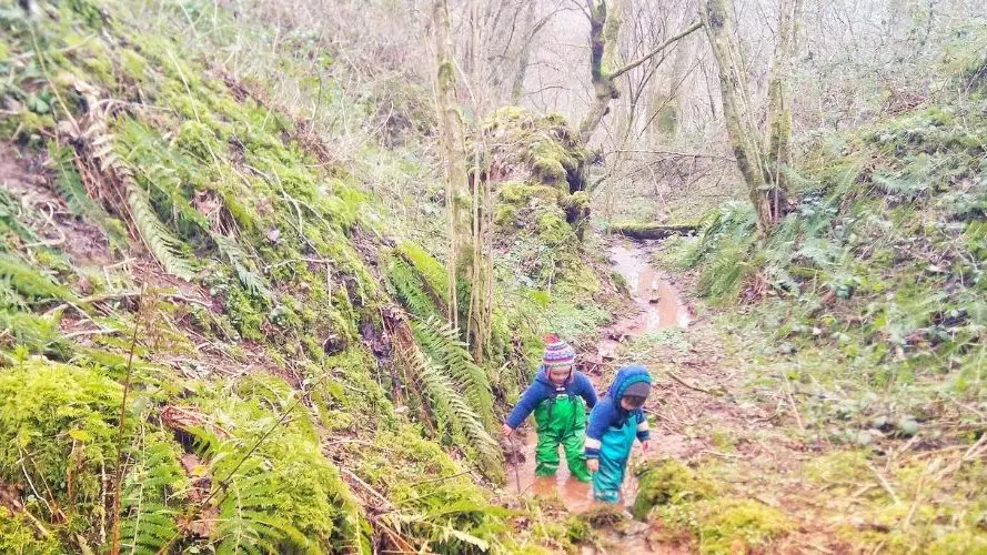 Photo of two little boys in a forest