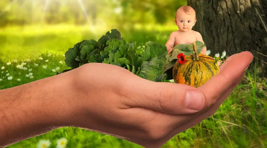 the-best-vegetables-for-babies-by-stage-wetheparents