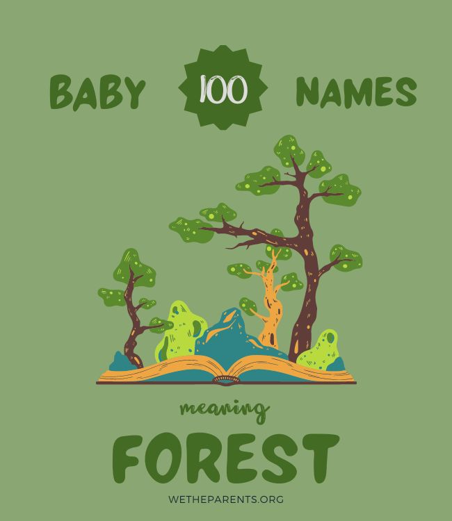 100-names-that-mean-forest-male-female-unisex-wetheparents