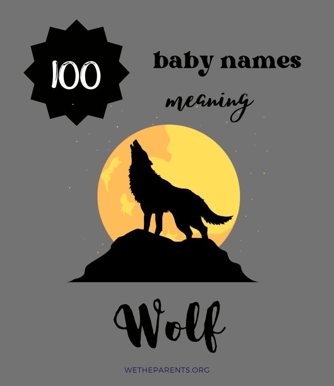 70+ Names That Mean Wolf (Girl, Boy, Non-binary) - WeTheParents