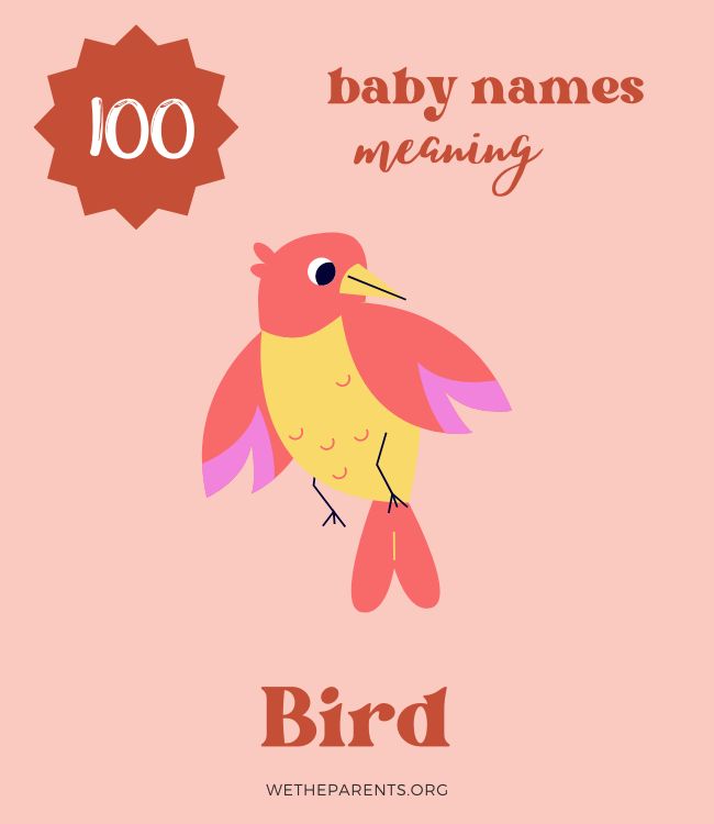 100-names-that-mean-bird-set-them-free-wetheparents